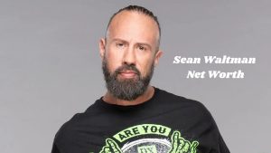 Sean Waltman Net Worth